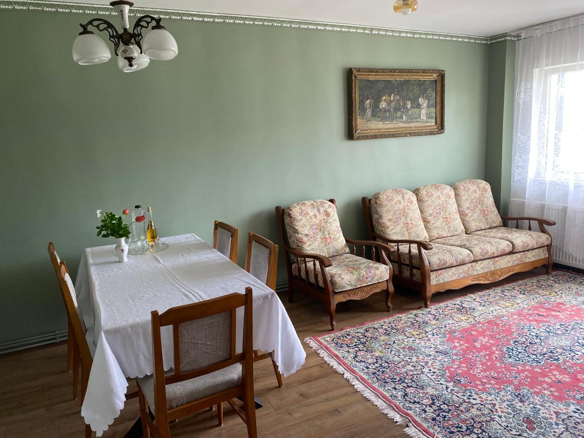 Apartament Ultracentral Botis Sighetu Marmaţiei Екстериор снимка